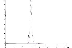 The purity of Mouse CD24 is greater than 95 % as determined by SEC-HPLC.