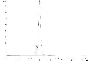 The purity of Mouse CD24 is greater than 95 % as determined by SEC-HPLC. (CD24 Protein (AA 27-53) (mFc Tag))