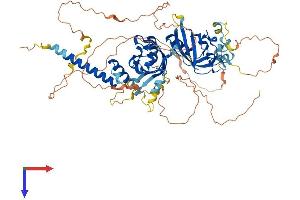 AlphaFold protein structure predicition of Human Recombinant HIF3A Protein, UniprotID Q9Y2N7