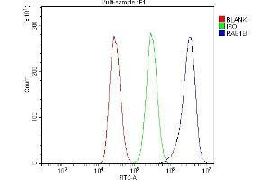 Flow Cytometry analysis of HEPA1-6 cells using anti-RAB1B antibody (ABIN7602809). (RAB1B anticorps  (C-Term))