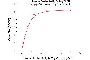 Prolactin Receptor (PRLR) (AA 25-234) (Active) protein (Fc Tag)