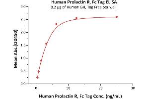 Immobilized Human GH, Tag Free at 2 μg/mL (100 μL/well) can bind Human Prolactin R, Fc Tag (ABIN5674642,ABIN6253668) with a linear range of 0.