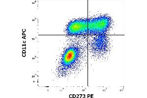 Flow cytometry multicolor surface staining of human GM-CSF and Il-4 stimulated peripheral blood mononuclear cells stained using anti-human CD273 (24F. (PDCD1LG2 anticorps  (PE))
