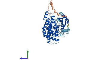 AlphaFold protein structure predicition of Human Recombinant ETNK1 Protein, UniprotID Q9HBU6