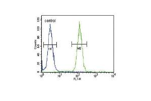 NCOA7 Antibody (N-term) (ABIN653488 and ABIN2842907) flow cytometric analysis of 293 cells (right histogram) compared to a negative control cell (left histogram).