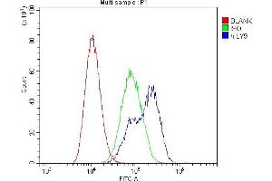 Flow Cytometry analysis of Daudi cells using anti-CD229 antibody (ABIN6719290). (LY9 anticorps)