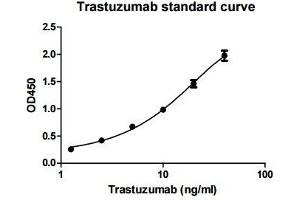 ELISA image for Trastuzumab ELISA Kit (ABIN4886397) (Trastuzumab Kit ELISA)
