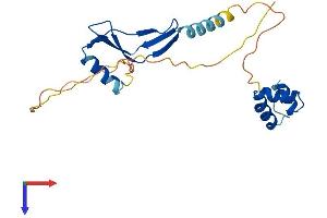 AlphaFold protein structure predicition of Human Recombinant NACA2 Protein, UniprotID Q9H009