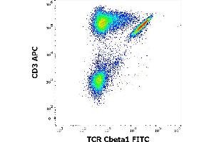 Flow cytometry multicolor surface staining of human lymphocytes stained using anti-human TCR Cbeta1 (JOVI. (TCR, Cbeta1 anticorps (FITC))