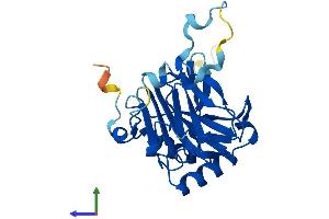AlphaFold protein structure predicition of Human Recombinant ALKBH6 Protein, UniprotID Q3KRA9