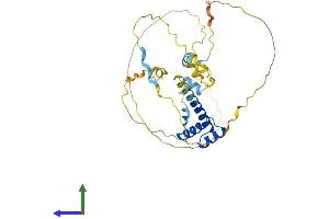 AlphaFold protein structure predicition of Mouse Recombinant Barhl1 Protein, UniprotID P63157