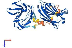 AlphaFold protein structure predicition of Mouse Recombinant Lgals8 Protein, UniprotID Q9JL15