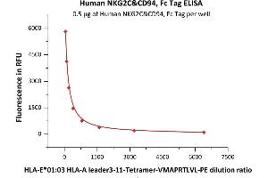 NKG2C & CD94 (AA 94-231) (Active) protein (Fc Tag)