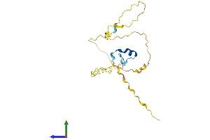 AlphaFold protein structure predicition of Human Recombinant PRR3 Protein, UniprotID P79522
