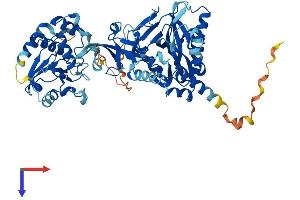 AlphaFold protein structure predicition of Mouse Recombinant Rngtt Protein, UniprotID O55236