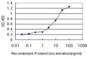 Detection limit for recombinant GST tagged RANBP3 is approximately 0.