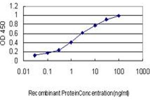 Detection limit for recombinant GST tagged FMR1 is approximately 0.