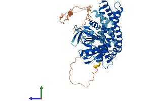 AlphaFold protein structure predicition of Human Recombinant ARHGEF9 Protein, UniprotID O43307