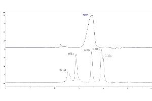 The purity of Cynomolgus / Rhesus macaque TIGIT, His Tag (ABIN4949059,ABIN4949060) was greater than 90 % as determined by .