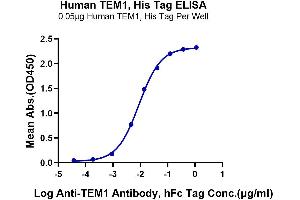 Immobilized Human TEM1, His Tag at 0.