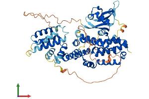 AlphaFold protein structure predicition of Human Recombinant RAPGEF5 Protein, UniprotID Q92565