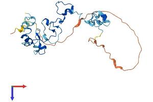 AlphaFold protein structure predicition of Human Recombinant CPSF4 Protein, UniprotID O95639