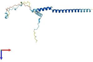 AlphaFold protein structure predicition of Mouse Recombinant Pdap1 Protein, UniprotID Q3UHX2