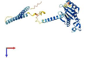 AlphaFold protein structure predicition of Mouse Recombinant Med27 Protein, UniprotID Q9DB40