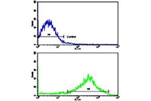 Flow cytometric analysis of NCI-H292 cells using OPRS1 polyclonal antibody (bottom histogram) compared to a negative control cell (top histogram). (SIGMAR1 anticorps  (N-Term))