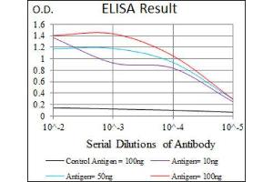 ELISA image for anti-GATA Binding Protein 6 (GATA6) (AA 491-557) antibody (ABIN1846324) (GATA6 anticorps  (AA 491-557))