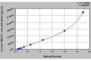 Typical standard curve (MACC1 Kit ELISA)