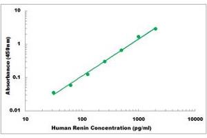 Representative Standard Curve (Renin Kit ELISA)