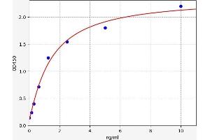 CKLF-Like MARVEL Transmembrane Domain Containing 6 (CMTM6) ELISA Kit