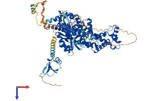 AlphaFold protein structure predicition of Human Recombinant ZBED1 Protein, UniprotID O96006