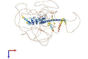 AlphaFold protein structure predicition of Mouse Recombinant Sncaip Protein, UniprotID Q99ME3