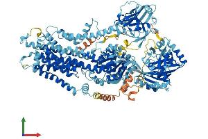 AlphaFold protein structure predicition of Human Recombinant ATP8A1 Protein, UniprotID Q9Y2Q0