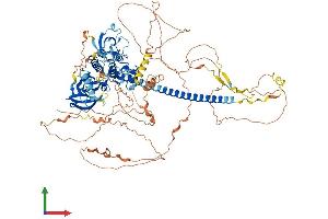 AlphaFold protein structure predicition of Human Recombinant MAP3K10 Protein, UniprotID Q02779