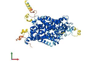 AlphaFold protein structure predicition of Human Recombinant SLC6A6 Protein, UniprotID P31641