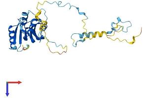 AlphaFold protein structure predicition of Human Recombinant CIAPIN1 Protein, UniprotID Q6FI81