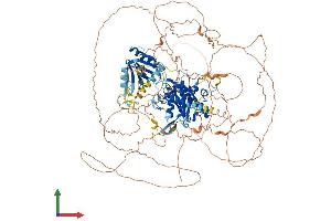 AlphaFold protein structure predicition of Mouse Recombinant Senp6 Protein, UniprotID Q6P7W0