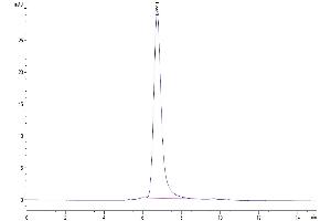 The purity of Mouse IL-17A&F is greater than 95 % as determined by SEC-HPLC.