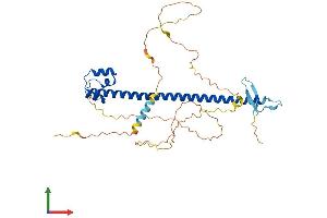 AlphaFold protein structure predicition of Human Recombinant NFE2 Protein, UniprotID Q16621
