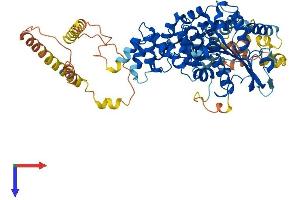 AlphaFold protein structure predicition of Mouse Recombinant Serac1 Protein, UniprotID Q3U213