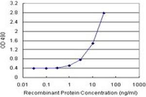 Sandwich ELISA detection sensitivity ranging from 1 ng/mL to 100 ng/mL. (PPP3R2 (Humain) Matched Antibody Pair)
