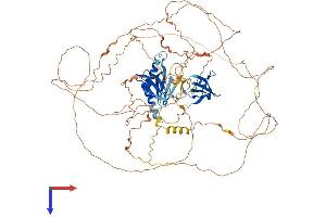 AlphaFold protein structure predicition of Mouse Recombinant Mapk8ip2 Protein, UniprotID Q9ERE9