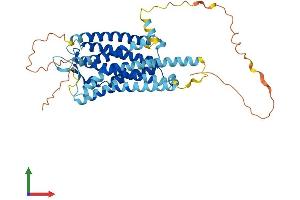 AlphaFold protein structure predicition of Human Recombinant KISS1R Protein, UniprotID Q969F8