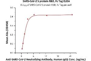 Immobilized SARS-CoV-2 S protein RBD, Fc Tag (ABIN6952455,ABIN6952462) at 2 μg/mL (100 μL/well) can bind A-CoV-2 Neutralizing Antibody, Human IgG1 (SAD-S35) with a linear range of 0.