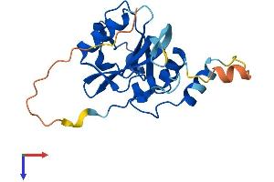 AlphaFold protein structure predicition of Mouse Recombinant Josd1 Protein, UniprotID Q9DBJ6