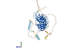 AlphaFold protein structure predicition of Human Recombinant PLRG1 Protein, UniprotID O43660