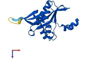 AlphaFold protein structure predicition of Human Recombinant SAT2 Protein, UniprotID Q96F10